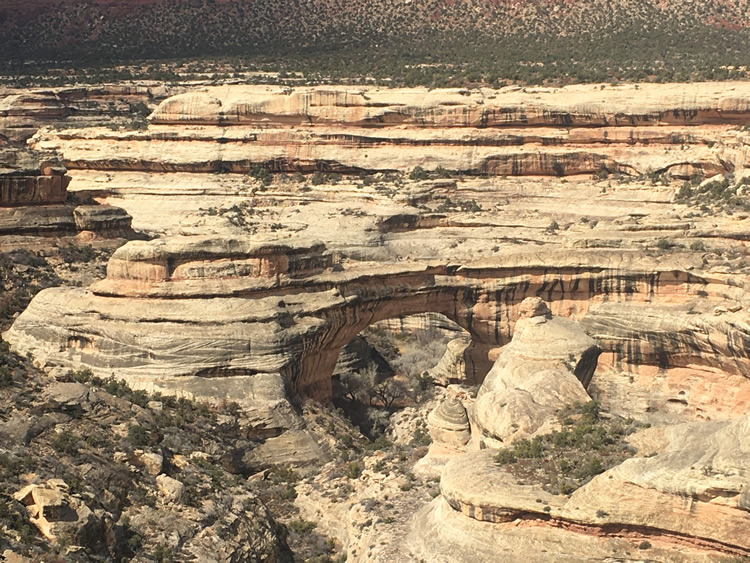 Natural Bridges National Monument